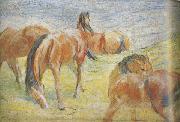 Franz Marc Graing Horses i (mk34) France oil painting artist